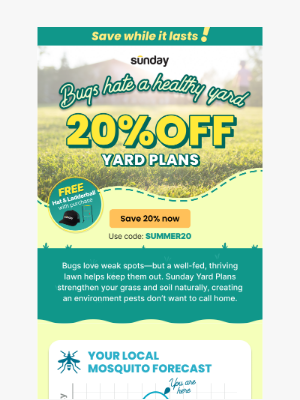 Sunday - 🛑 Bugs Hate This 🛑 20% OFF