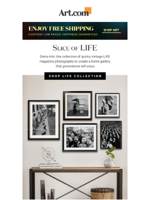 AllPosters - Celebrate LIFE with quirky photographs from this collection.