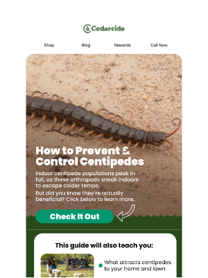 Cedarcide - It's Centipede Season! Are You Ready?