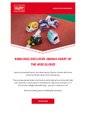 Rawlings Sporting Goods - New Embroidered Logos on These Limited Edition Gloves