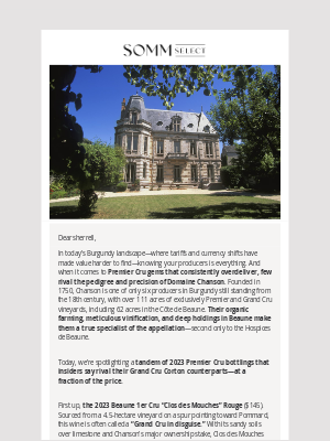 SommSelect - 2023 Red Burgundy You Can Afford to Cellar– A Lovely Tandem from Domaine Chanson!