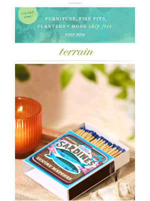Terrain - Painted tapers, sardine matches + more
