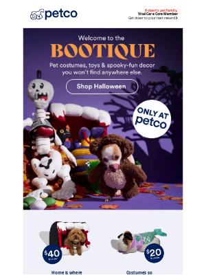 Petco - 🕸 BOOTIQUE is here! Spooky fun from $6 🕸