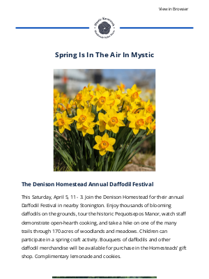 Mystic Knotwork - Spring In Mystic, Bloomin' Bunnies, New Delamar Mystic Hotel