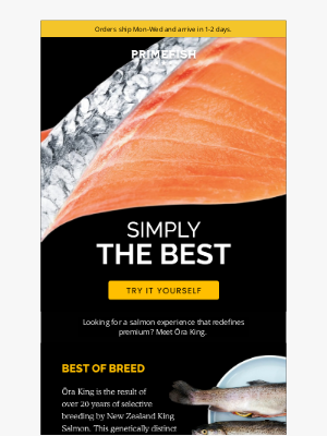 PrimeFish Seafood Co. - Ōra King Salmon: The Crown Jewel