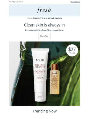 Fresh - The ritual you've been looking for