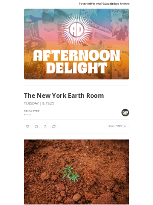 Whalebone - The New York Earth Room ☀️