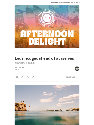 Whalebone - Let’s not get ahead of ourselves ☀️