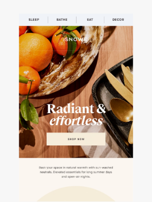 SNOWE - Trending hues