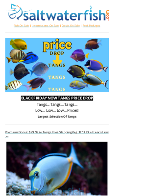 Saltwaterfish - 🐠⚫Black Friday Price ⬇️ Drop TANGS... TANGS... TANGS...