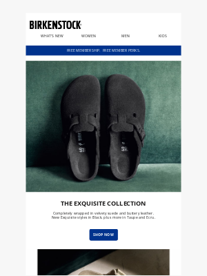 Birkenstock - Now in Black: Arizona & Boston Exquisite Suede