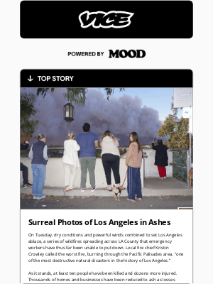 VICE Media - Los Angeles in Ashes