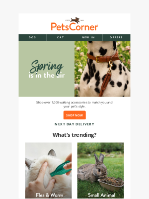 Pets Corner (United Kingdom) - Spring is in the air!