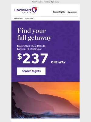 Hawaiian Airlines - Summer never ends with today's fares