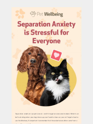 Your Pet Isn't Acting Out—They're Reaching Out: Understanding Separation Anxiety