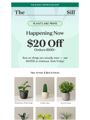 The Sill - This Week Only! $20 Off