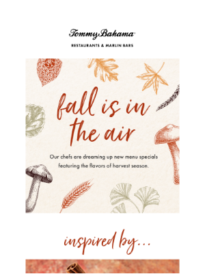 Tommy Bahama - Ready to Harvest the Flavors of Fall?