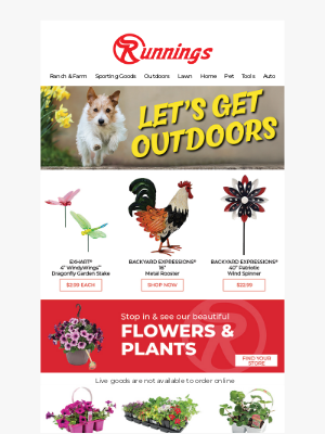 Related Email 0