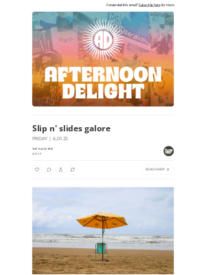 Whalebone - Slip n' slides galore ☀️