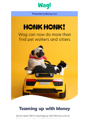 Wag - Let us help you with more than just pet care