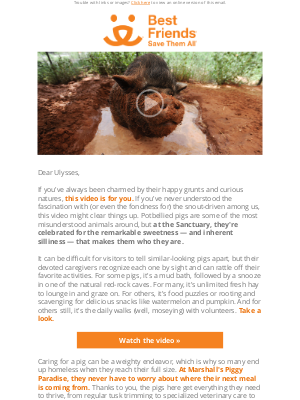 Related Email 1