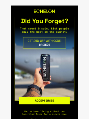 Bravo Sierra - A shameless bribe. Our biggest discount.