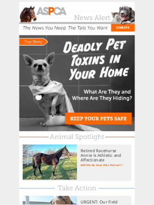 ASPCA - ⚠ WARNING: Pet Toxins Hiding in Plain Sight