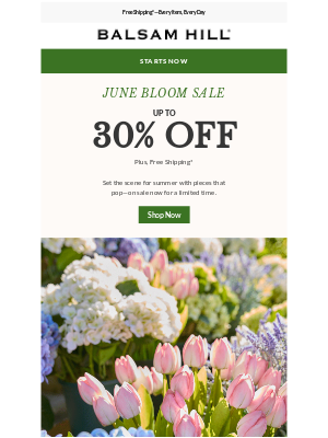 Balsam Hill - June Bloom Sale: Sunny Savings Are Here!