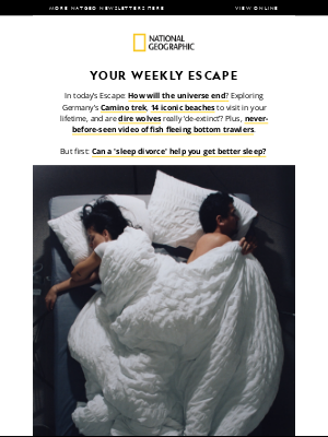 Shop Disney - Do you need a sleep divorce? Plus: How the universe ends; Germany’s Camino trek