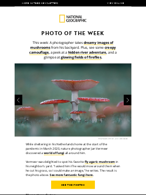 National Geographic - PHOTO OF THE WEEK: Dreamy photos of fantastic fungi. Plus, creepy camouflage; glowing fields of fireflies