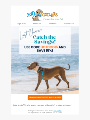 Hot Dog Collars - Last Chance to Catch the Savings!