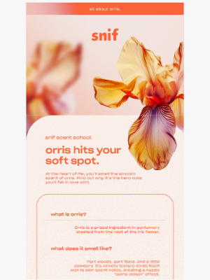 Snif - Scent School: All about orris.