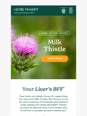 Herb Pharm - 🌿 Milk Thistle is our Herb of the Month!
