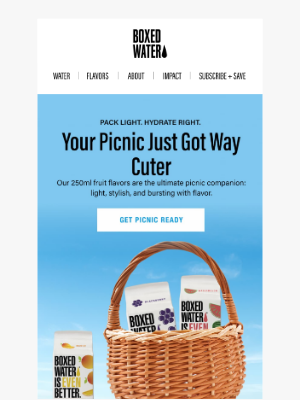 Boxed Water Is Better - Ready for the Cutest Picnic?