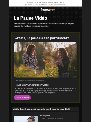 France télévision (France) - Les fleurs à parfum de Grasse : un patrimoine olfactif fascinant