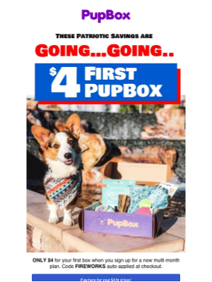 PupBox - 🧨 $4 Box - Last Chance Scott for Sparkler Savings! 🎇