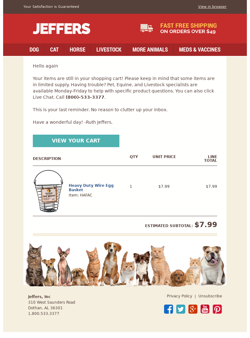 Abandoned cart email example from Jeffers