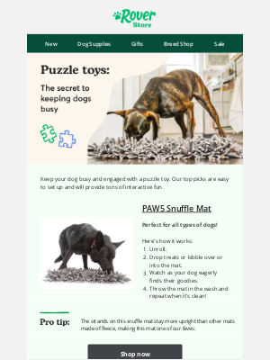 DogVacay - Keep your dog busy with a new puzzle toy