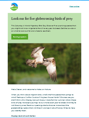 RSPB - Meet the UK’s globetrotting birds of prey