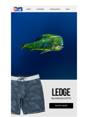 Pelagic - The Ledge - New Boardshort for Summer