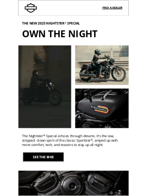 Harley-Davidson - The night looks better on you
