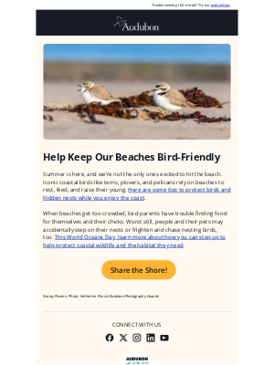 National Audubon Society - Share the Shore with Birds 🌊