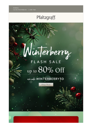 Pfaltzgraff - Let’s Pretend You Didn’t See This: Up to 80% OFF Winterberry