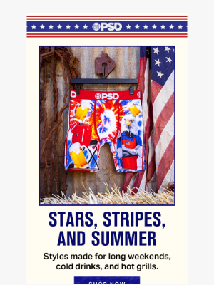 PSD Underwear - Stars, Stripes, & Summer Vibes