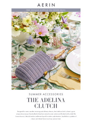 AERIN LLC - The Adelina Clutch