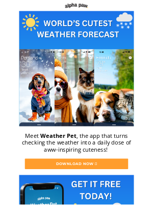 Alpha Paw - 🌤️🐕 [Gift] Cute Pets Show Your Weather