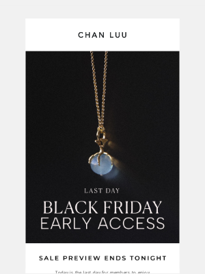 chanluu.com - 25% off: early sale access ends tonight