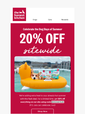 The Honest Kitchen - ☀️Hot days call for hot deals: don't miss our sitewide sale!