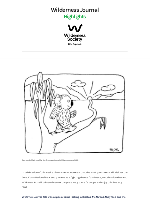 The Wilderness Society - Wilderness Journal: Koala-ty stories about an iconic species 🐨