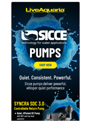 LiveAquaria - 💧 Power Up Your Aquarium with Sicce Pumps